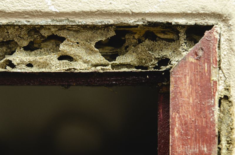 Damaged Framing Replacement in Kansas City, KS